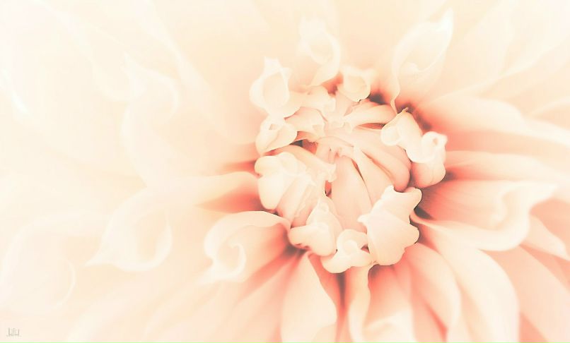 Виталий Шпинёв | Домодедово