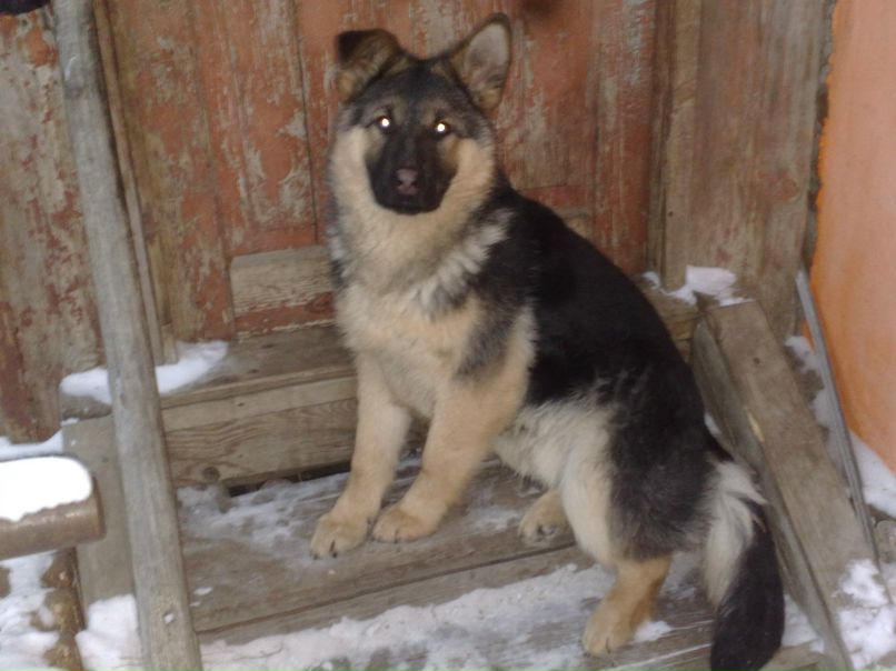 Юрий Дубов | Озёры