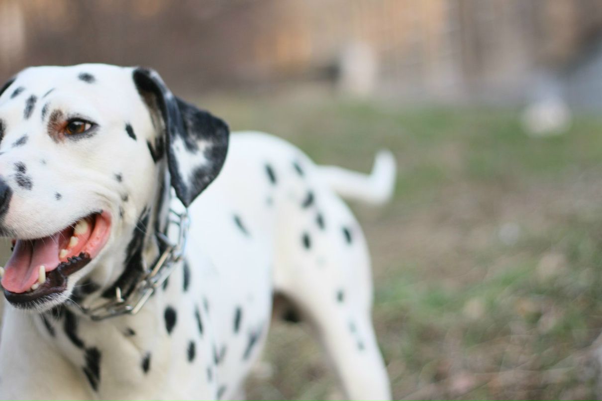 Славик Аджигитов | Москва