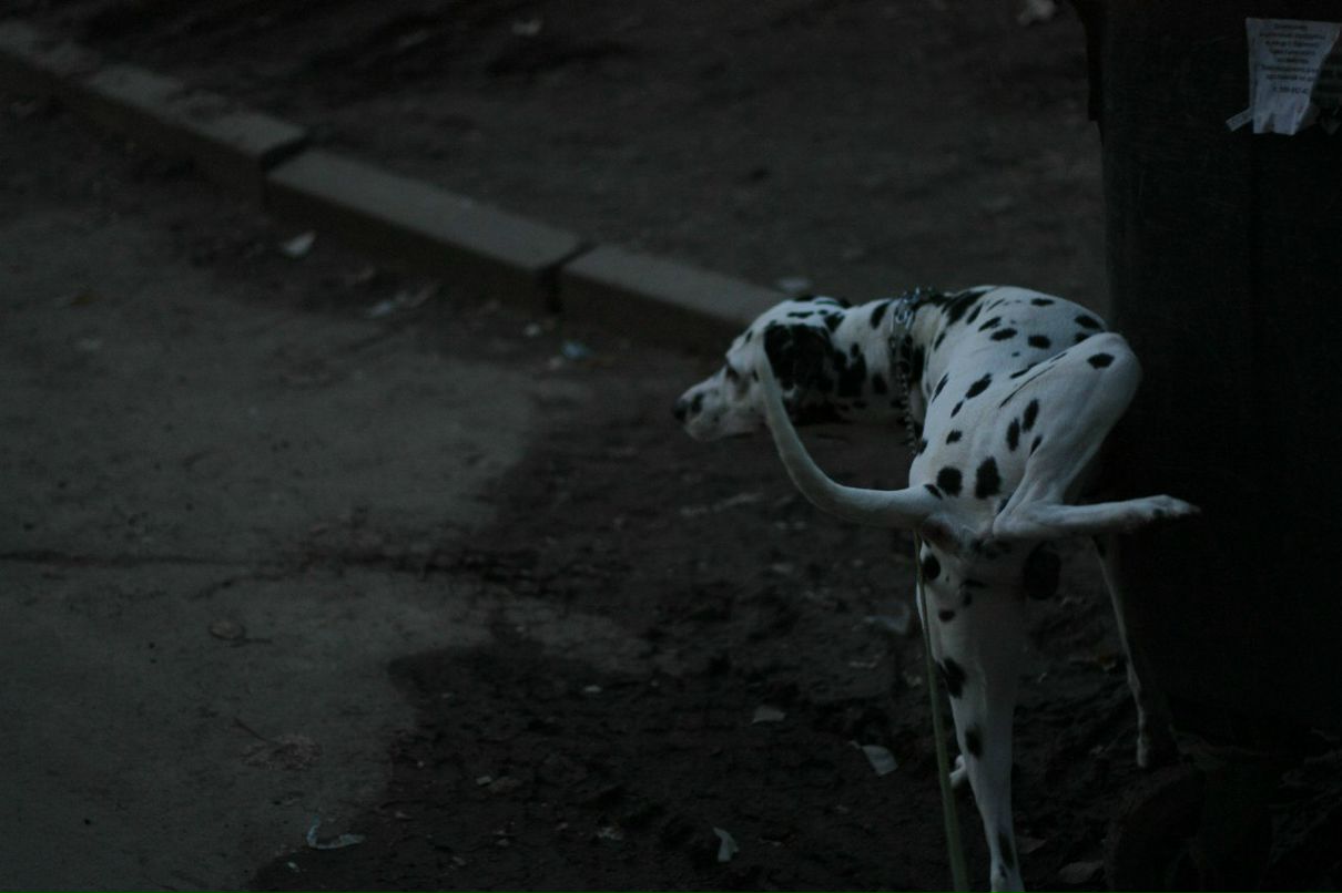 Славик Аджигитов | Москва