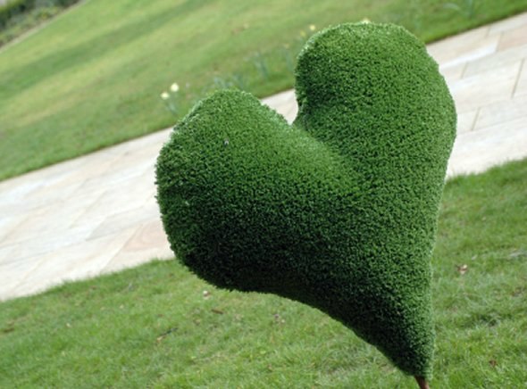 Венера Гаянова | Уфа