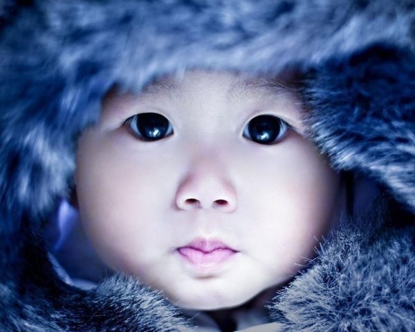 Светик Голландец | Нижний Новгород