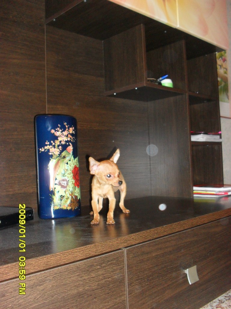 Руслан Кадралиев Серикович | Белгород