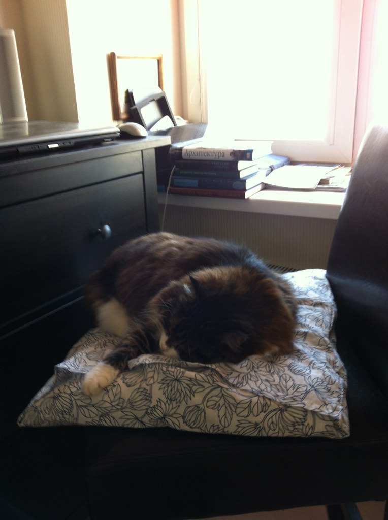 Светлана Мокина | Санкт-Петербург