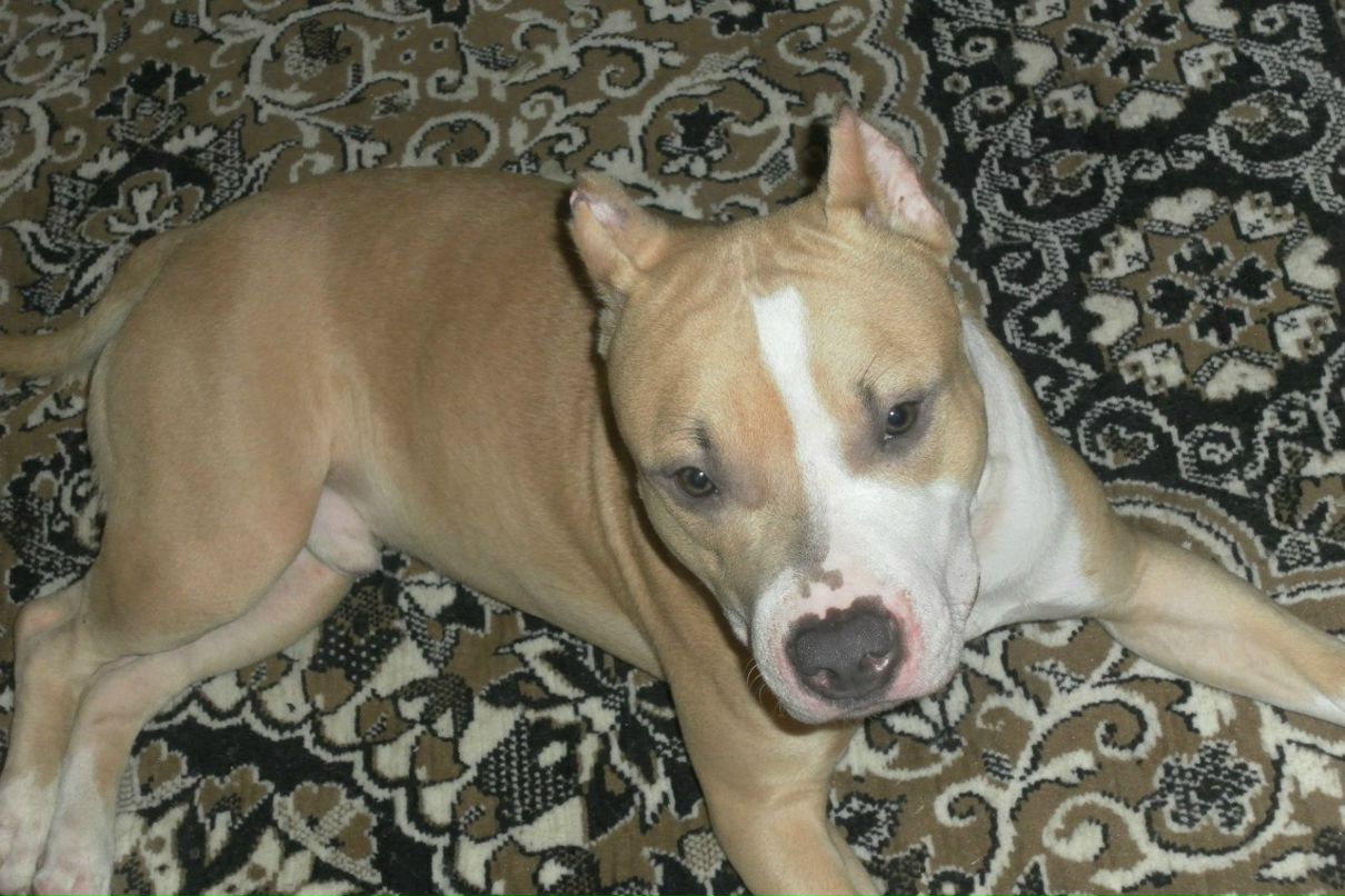 Владимир Нестеров | Тверь