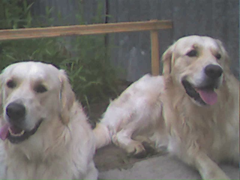 Мариетта Яковлева | 