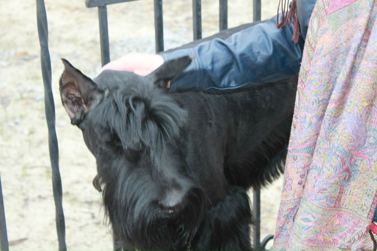 Павел Григоренко KloREYN | 