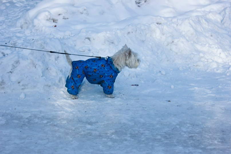 Кирилл Мамыч SOUND-MASTER | Магнитогорск