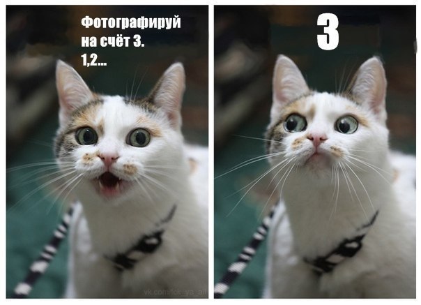 Александр Долгушин | Архангельск