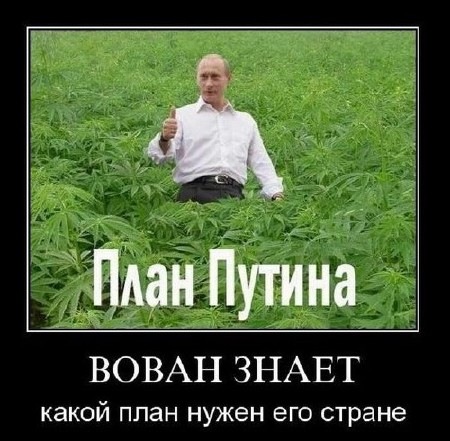 №99, Александр Потийчук, Брусилов №99, Александр Потийчук, Брусилов