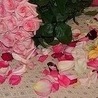№67, Владислава Мунтян, Днепр (Днепропетровск) №67, Владислава Мунтян, Днепр (Днепропетровск)