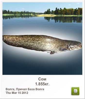 Дорин Злотар ⎷⎛ | Черновцы