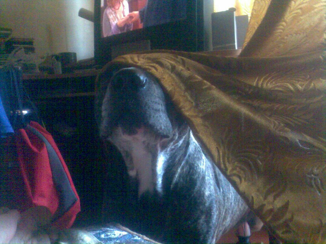 Владимир Ганушевич | Киев