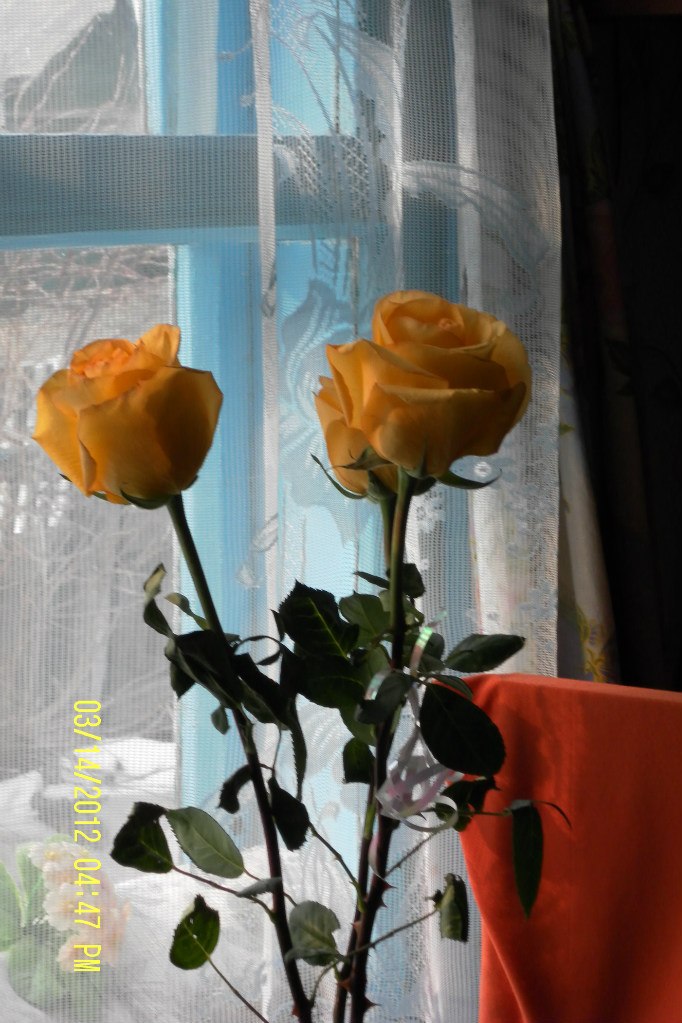 Мария Лаврова | Лесозаводск