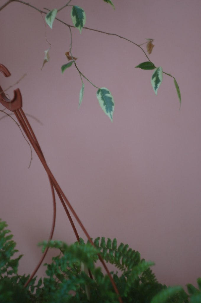 Снуль Снуль снуль | Москва