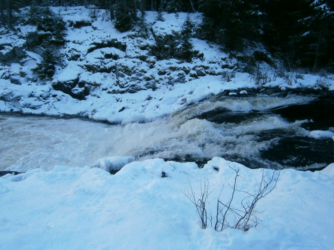 Наталья Владимирова | Великий Новгород
