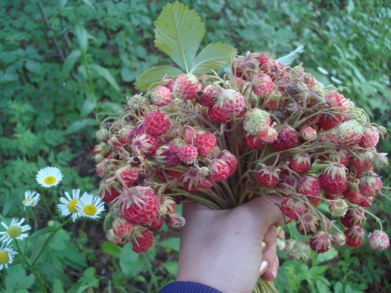 Юлия Фомина | Саранск