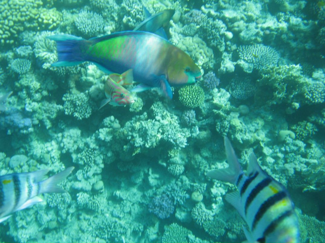 Надежда Кропачева | Киров