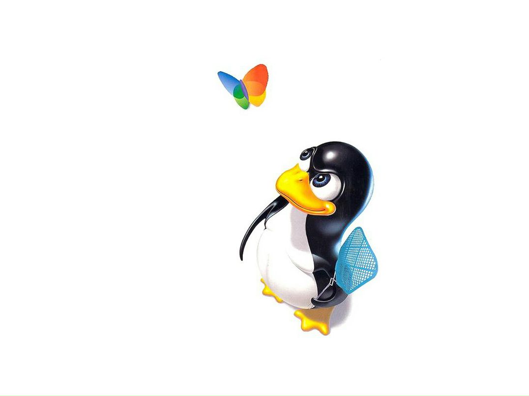 Александр Зайцев | Санкт-Петербург