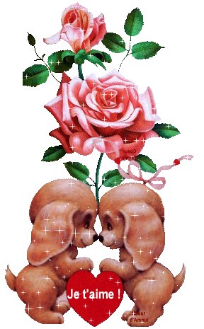 Елена Яшечкина | Белая Церковь