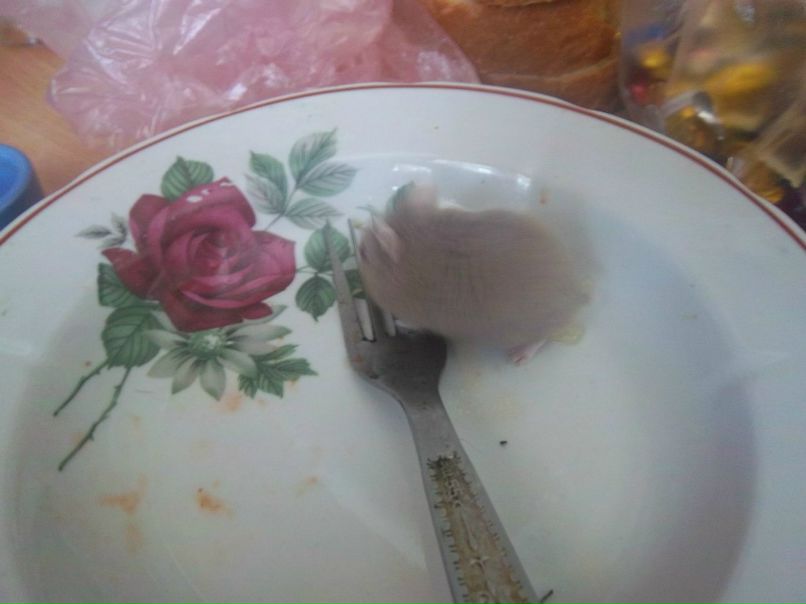 Надежда Сукачёва | Пестравка