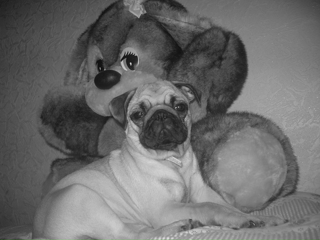 Юля Рябчук | Кривой Рог