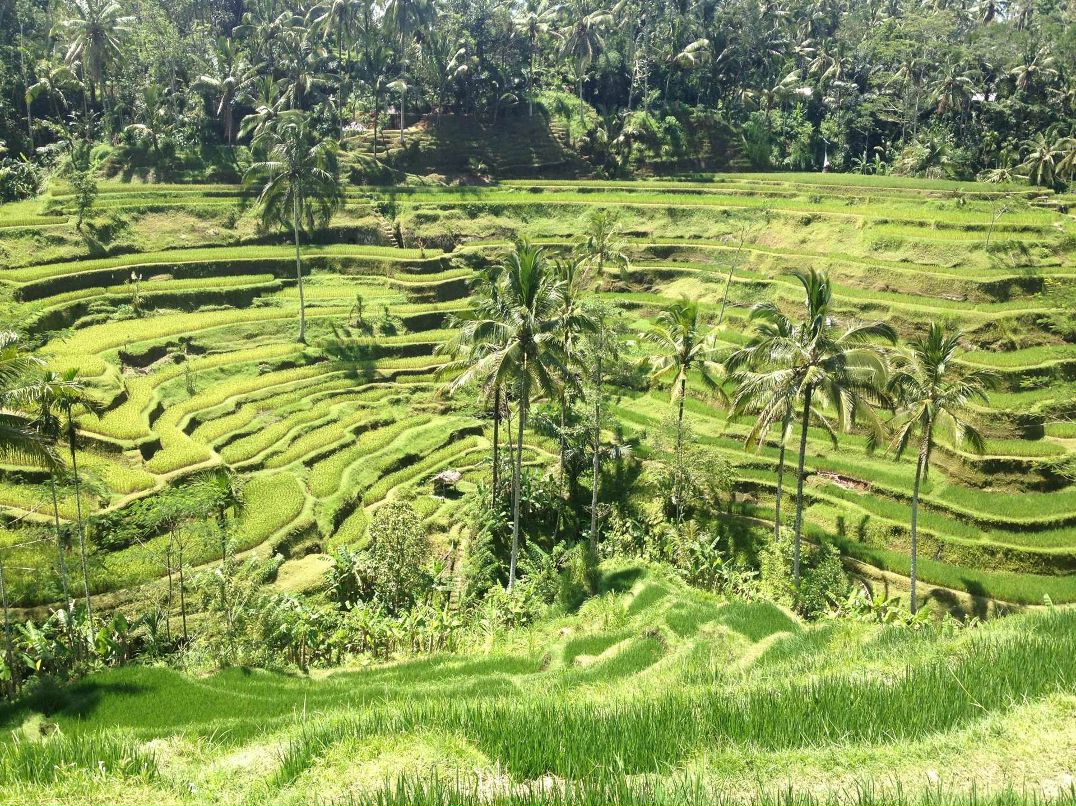 Женя Букнис | Санкт-Петербург