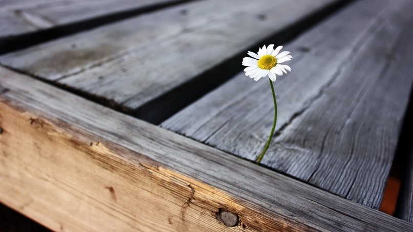 Анжела Федянина | Бугульма