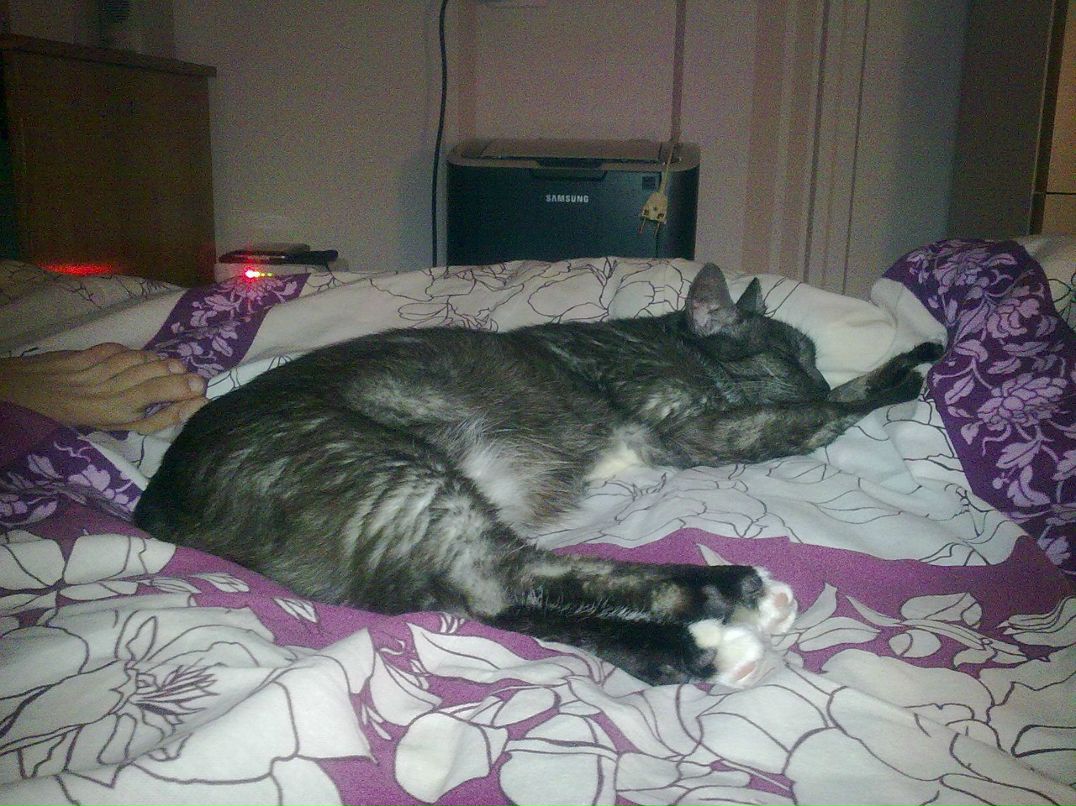 Евгений Жилинский | Минск