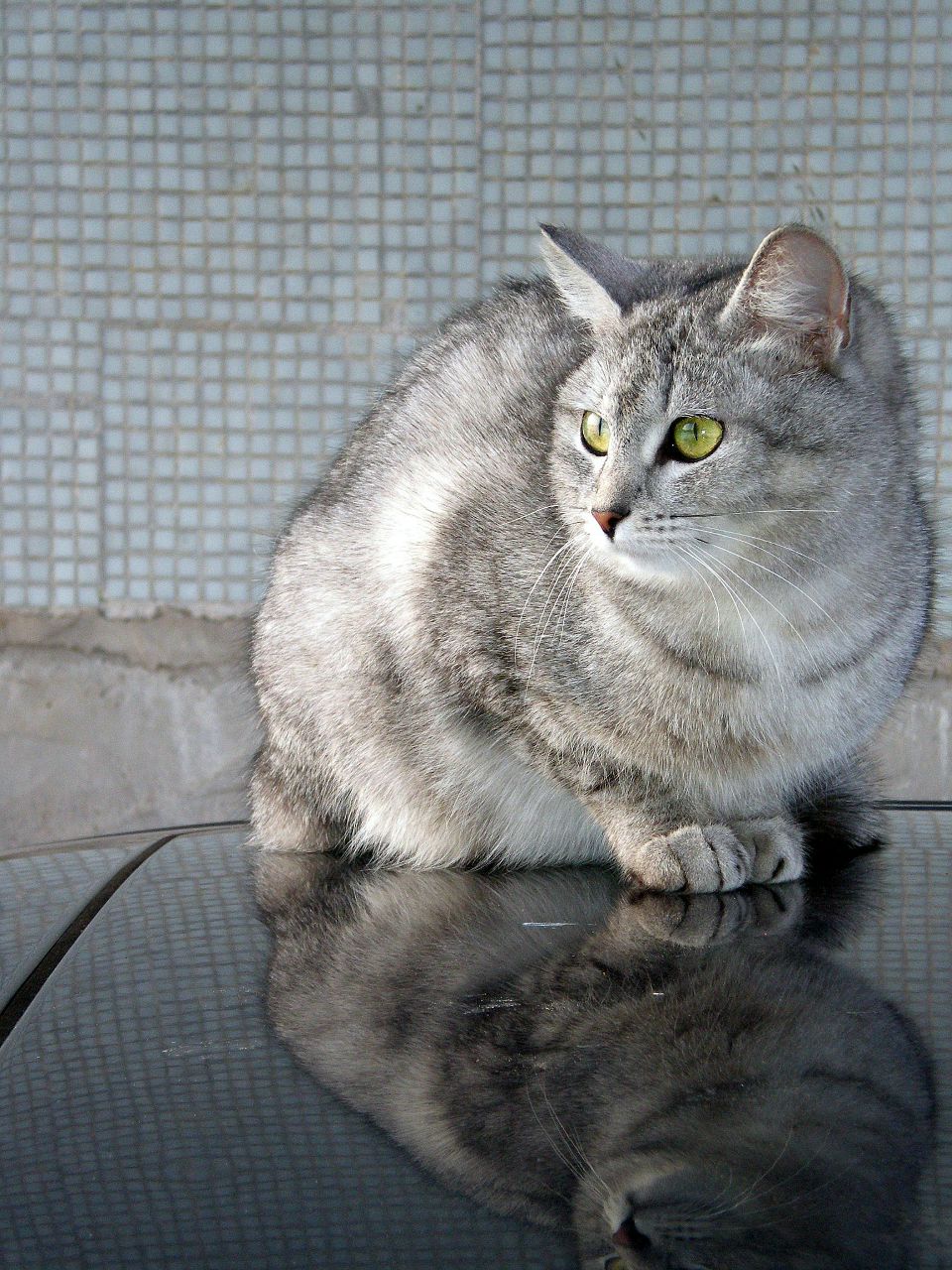 Олеся Зуева | 