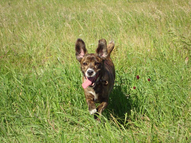 Екатерина Фоминцева | Красноуфимск