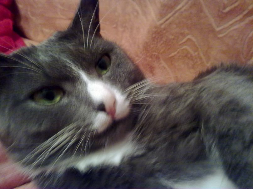 Софья Тёплых | Заречный