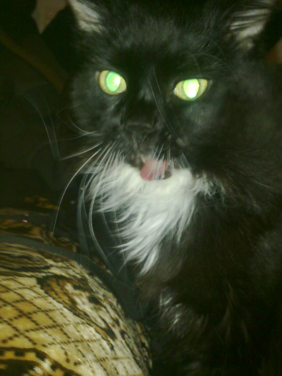 Андрей Денисов | Санкт-Петербург