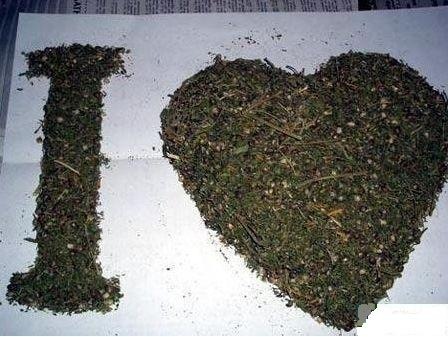 №133, Руслан Соловки, 34 года, Воронеж, Россия №133, Руслан Соловки, 34 года, Воронеж, Россия