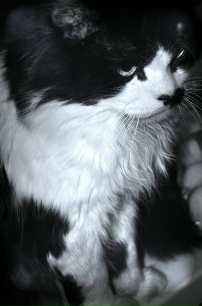 №132, Крис Tra-La-La, Киев №132, Крис Tra-La-La, Киев