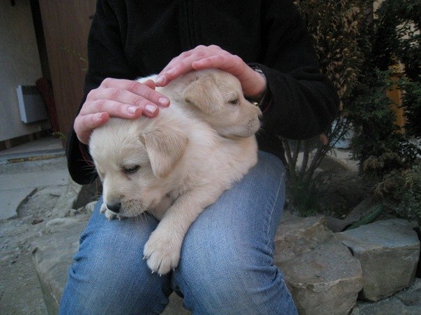 Юлька Шпулька - | Старый Самбор