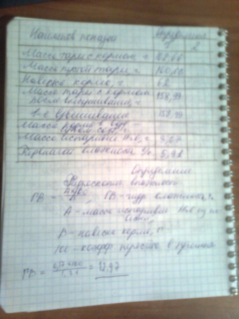 Любаша Еркина | Нижний Новгород