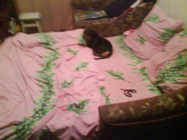 Таня Поставская | Киев