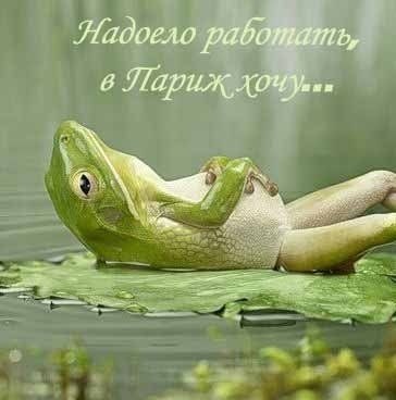 Ирина Тарханова | Волгоград