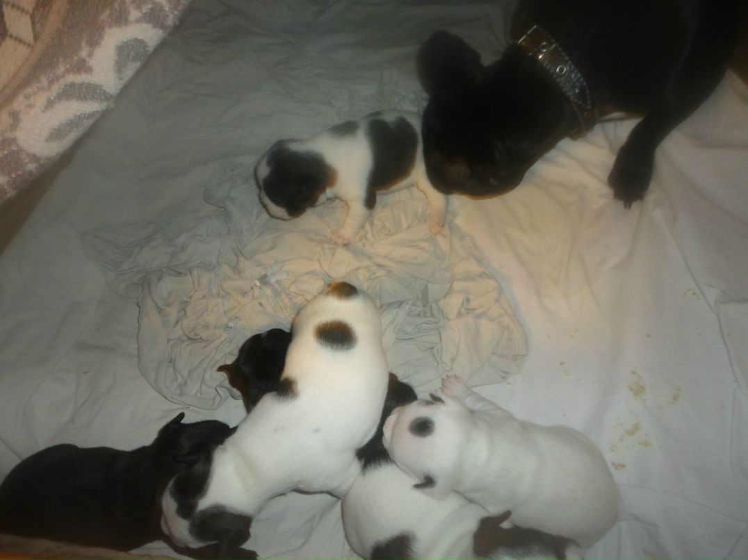 Александр Цап | Харьков