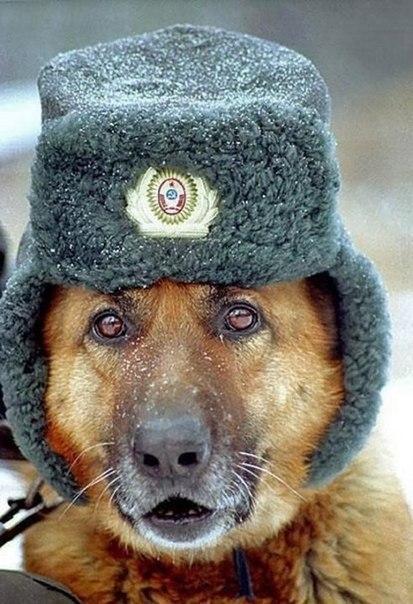 Павел Бузюн | Новороссийск