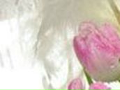 Кристина Петраш | Запорожье