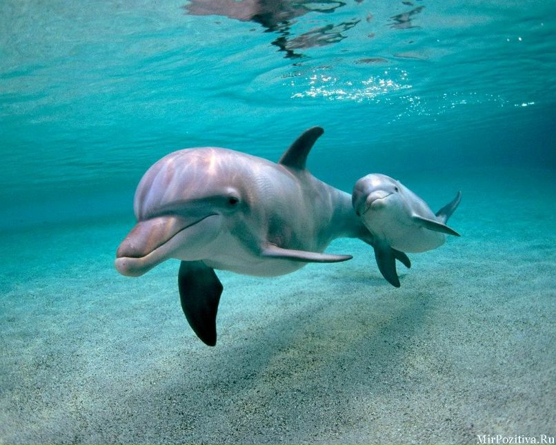 Lenochka Smeshnaja | Гродно