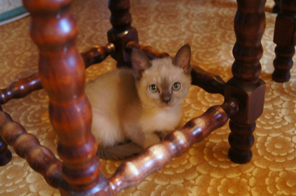 Денис Пилипенко | Одинцово