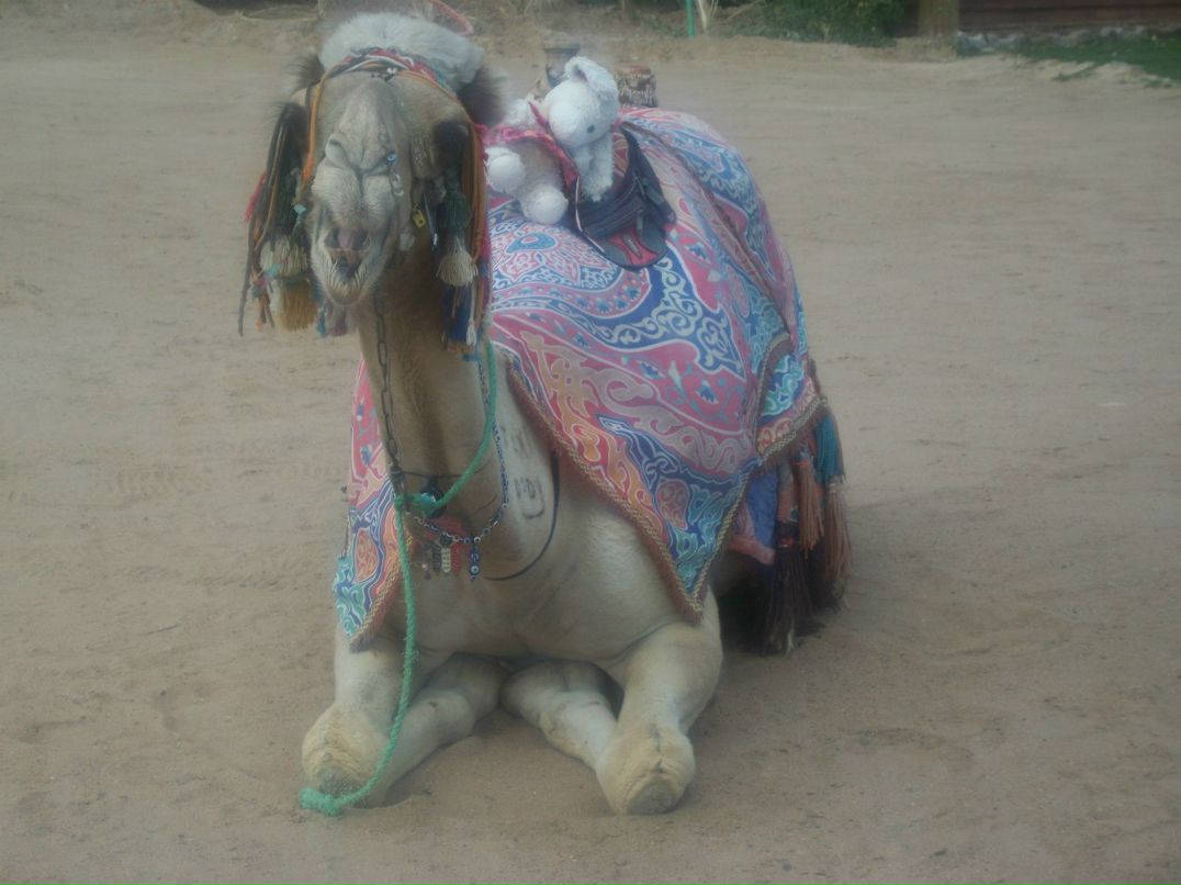 Кристина Василенко | Челябинск