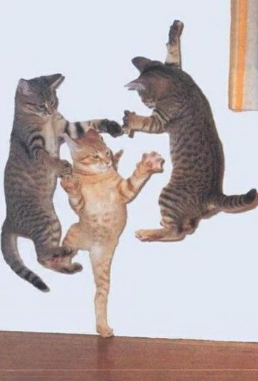 №19, Владимир Курзанов №19, Владимир Курзанов