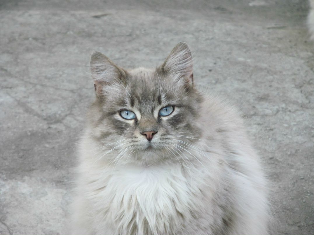 Женя Липовский | Харьков