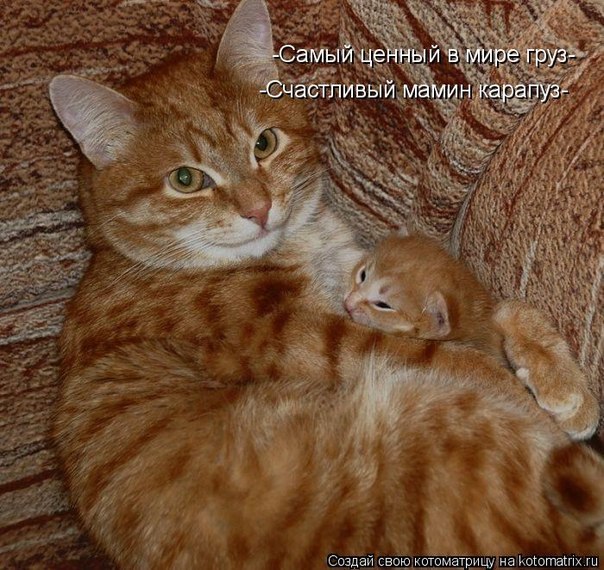 Владимир Горячев | Санкт-Петербург