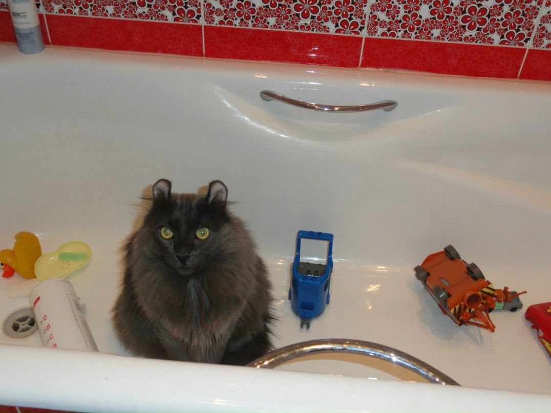 Ленусик Бугаева | Петрозаводск