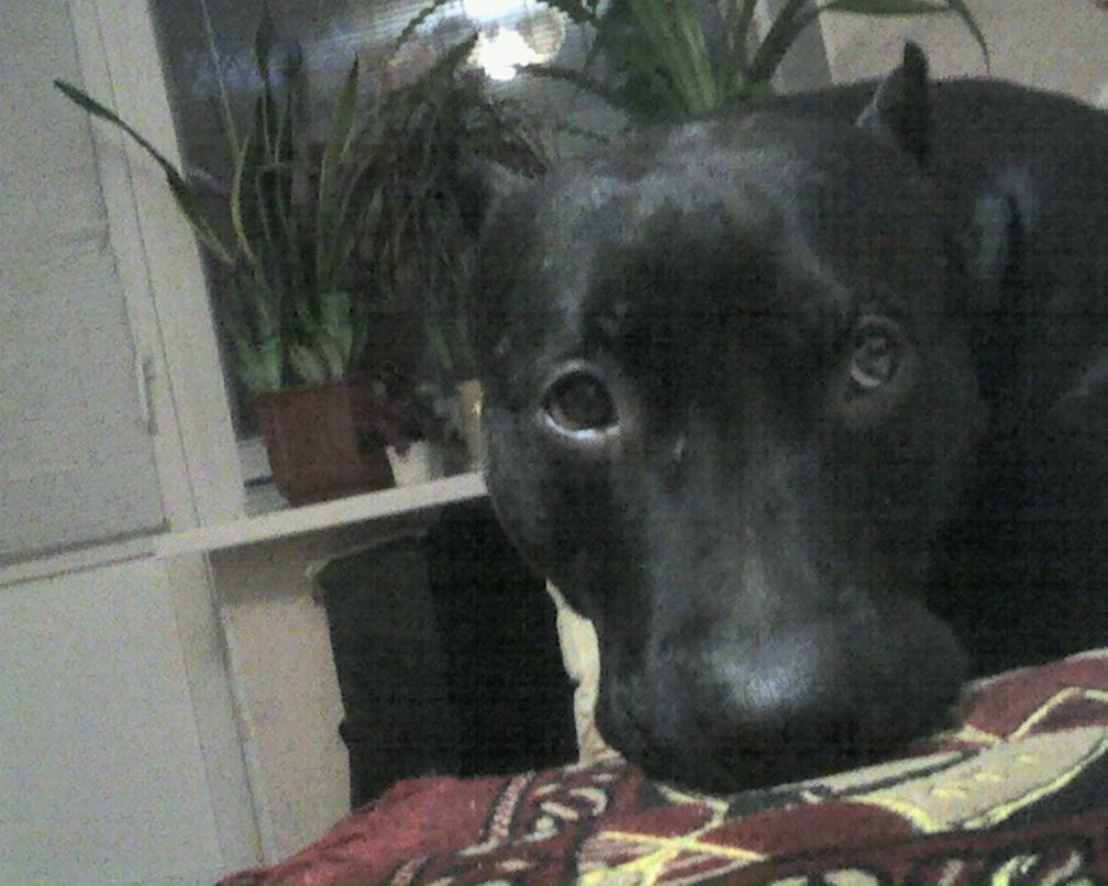 Сергей Карнаух | Харьков